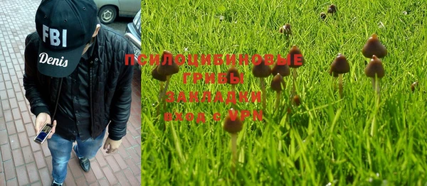 PSILOCYBIN Абинск